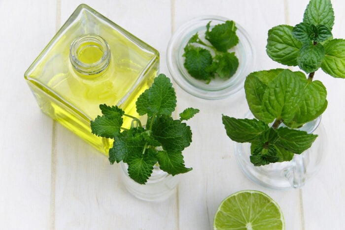 L'huile essentielle de menthe poivrée, un remède naturel pour le nez bouché © Pexels