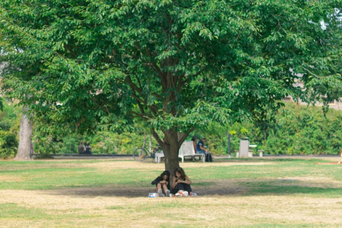Deux femmes à l'ombre sous un arbre pour protéger leur peau au printemps © Márton Novák - Pexels