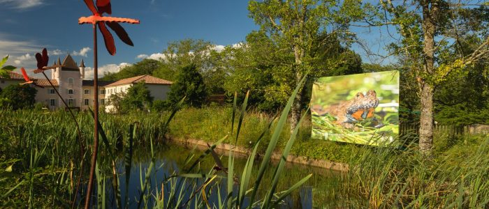 Exposition Biotrésors des Monts d'Ardèche à la Maison du Parc