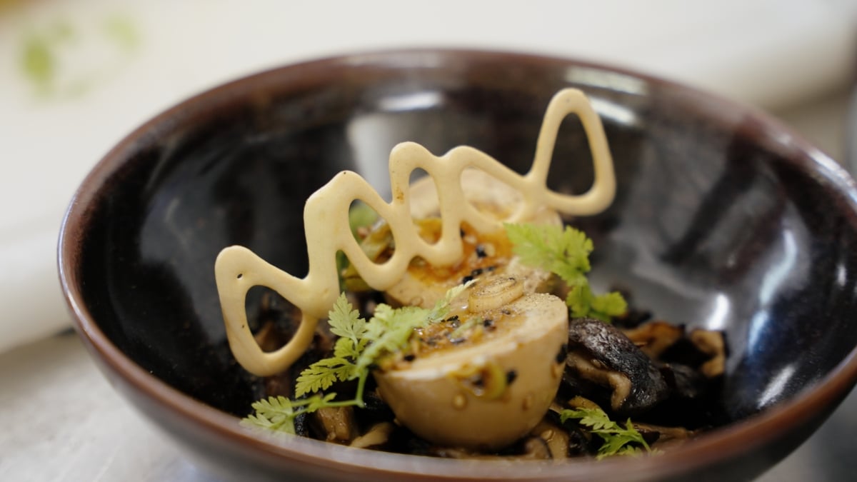 Vue sur assiette avec Cuisine raffinée et semi-gastronomique aux thermes de Saubusse
