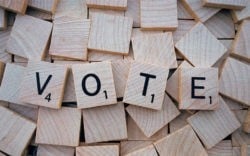 Resultats municipales c Wokandapixa Pixabay
