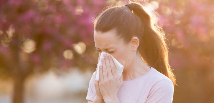 Allergie canicule