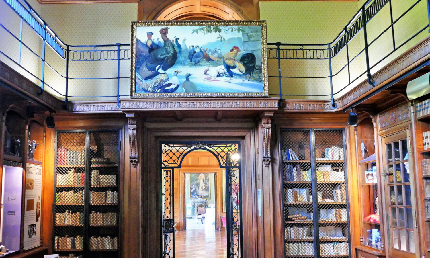 Cure thermale Cambo-les-Bains - La bibliothèque de la Villa Arnaga
