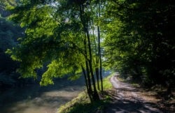 Cure thermale Bagnoles-de-l'orne - Ambiance de normandie