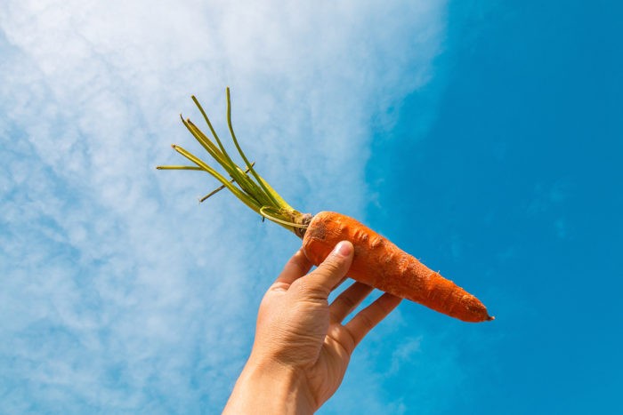 Main brandissant une carotte