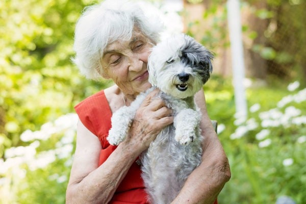 Le courrier des curistes : Ginette B. voudrait savoir si son chien peut l'accompagner pendant son séjour thermal