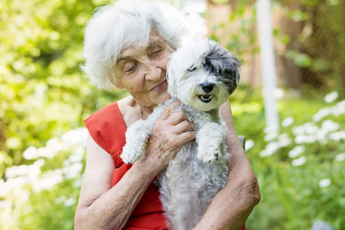 Le courrier des curistes : Ginette B. voudrait savoir si son chien peut l'accompagner pendant son séjour thermal