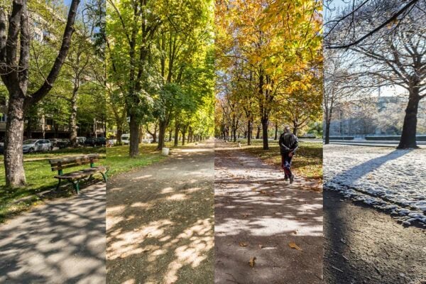 4 saisons parc