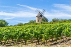 Moulin de Santenay