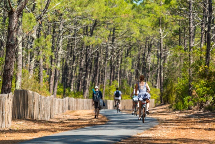 Piste cyclable dans les forêts de pin des Landes