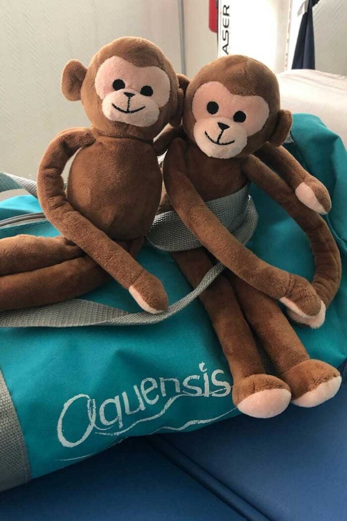 Singes en peluche sur sac de sport