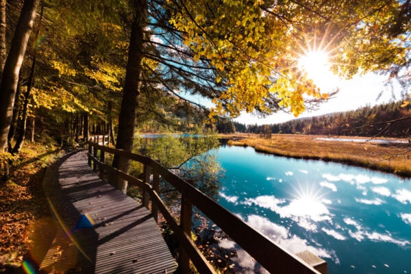 Passerelle longeant un lac passant dans une forêt