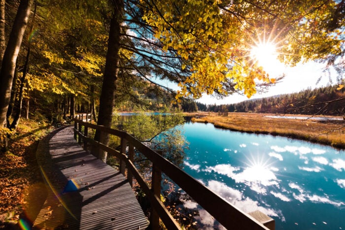 Passerelle longeant un lac passant dans une forêt