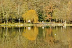 Lac à Contrexéville (Vosges), l'une des stations où faire une cure thermale en automne